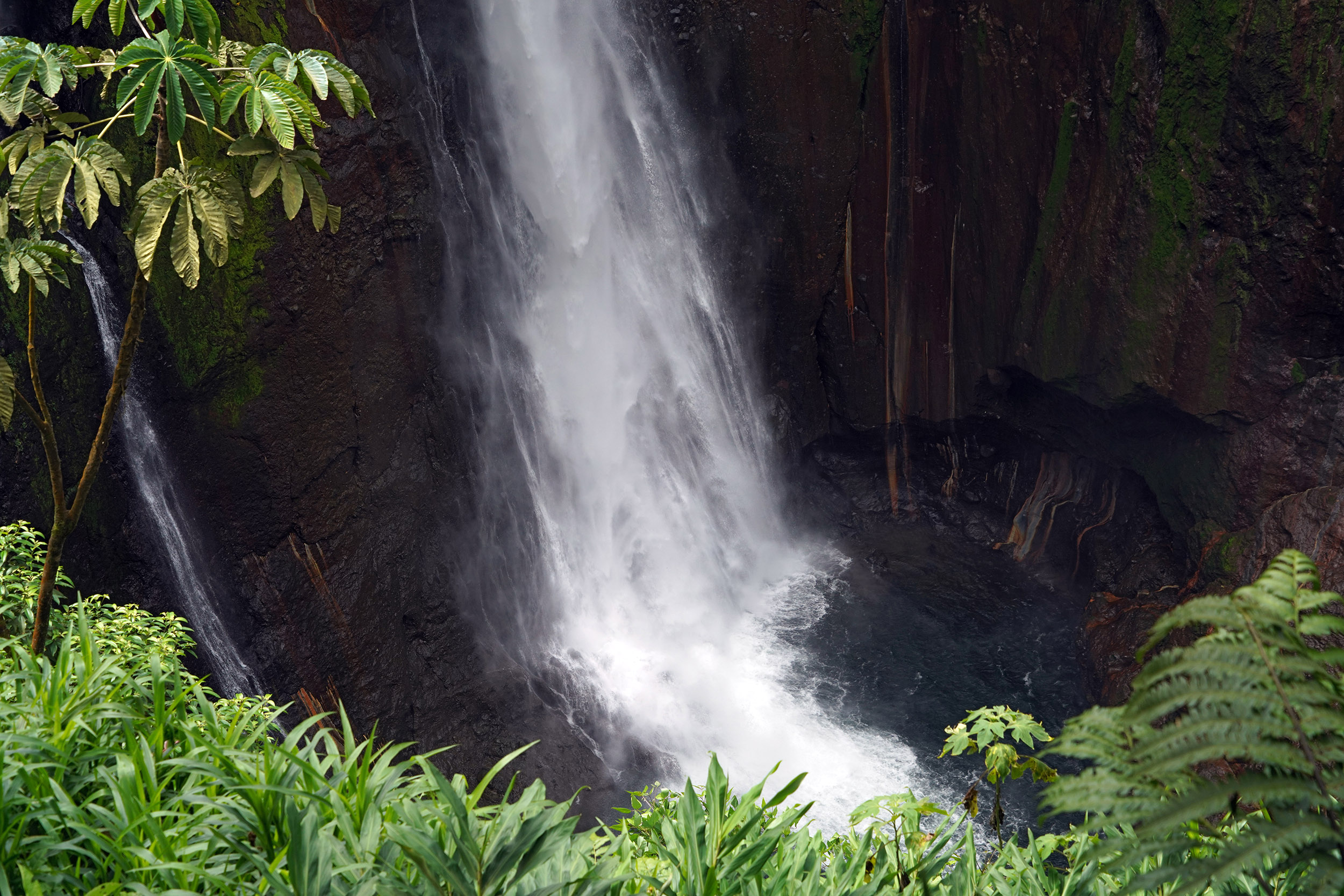 Costa Rica - Février 2025
